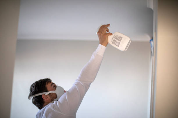 Best Attic Mold Removal  in Sho Creek, AL